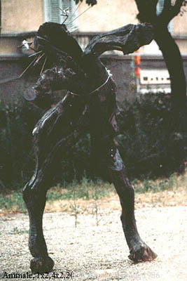 Figurativi